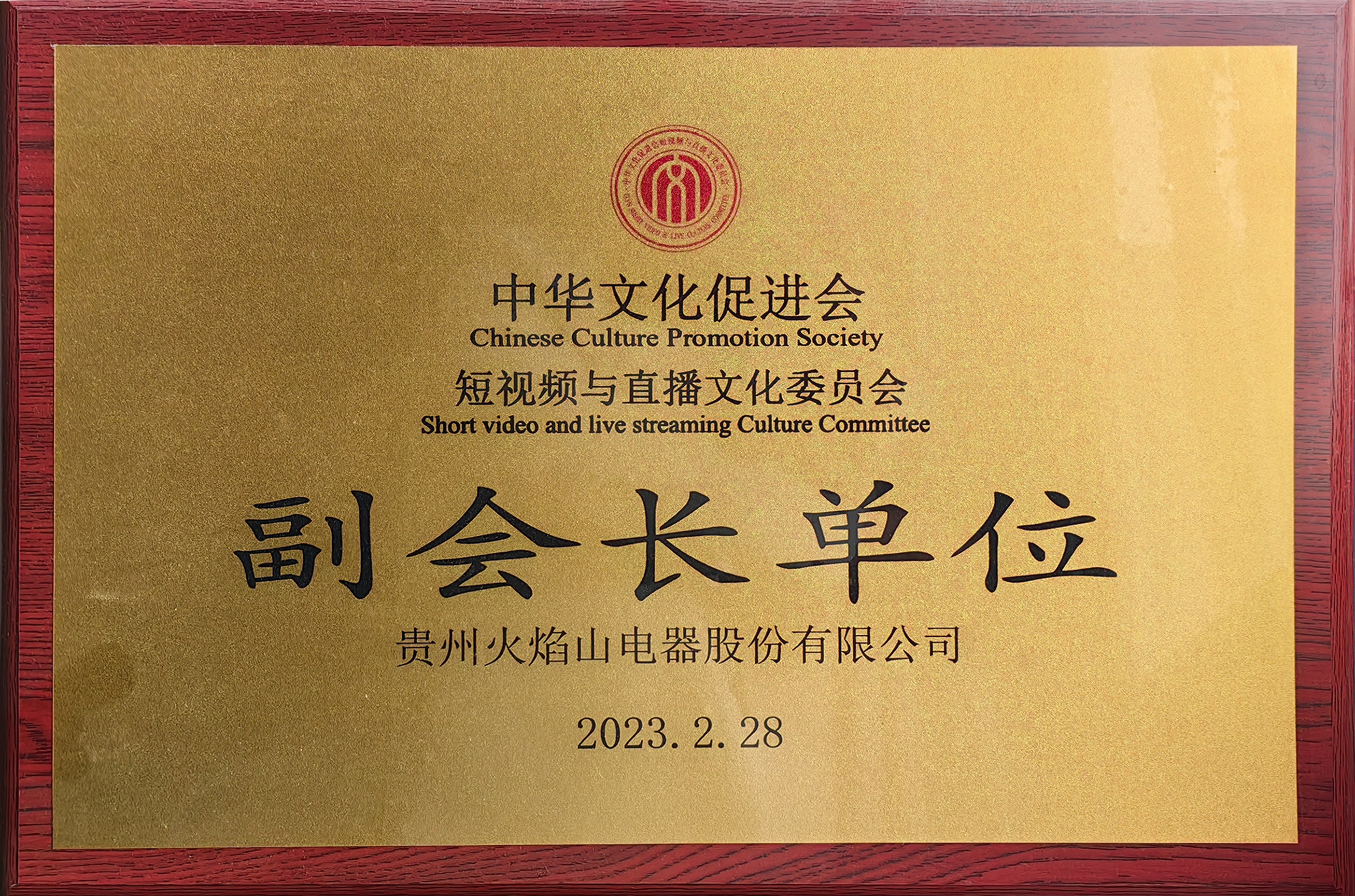 中华文化促进会副会长单位